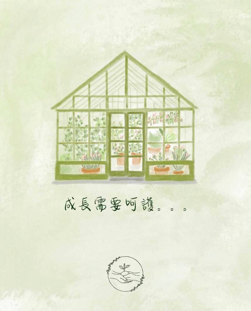 木盒中的珍珠項鍊